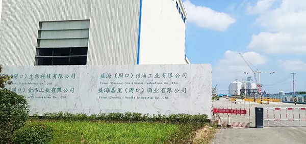 內圖339